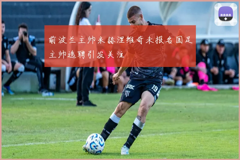 前波兰主帅米赫涅维奇未报名国足主帅选聘引发关注