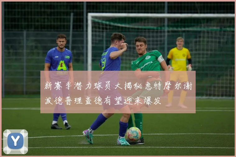 新赛季潜力球员大揭秘惠特摩尔谢泼德普理查德有望迎来爆发