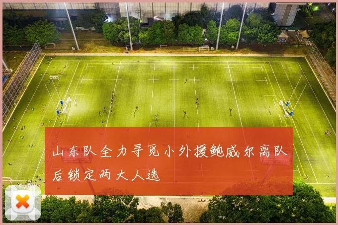 山东队全力寻觅小外援鲍威尔离队后锁定两大人选